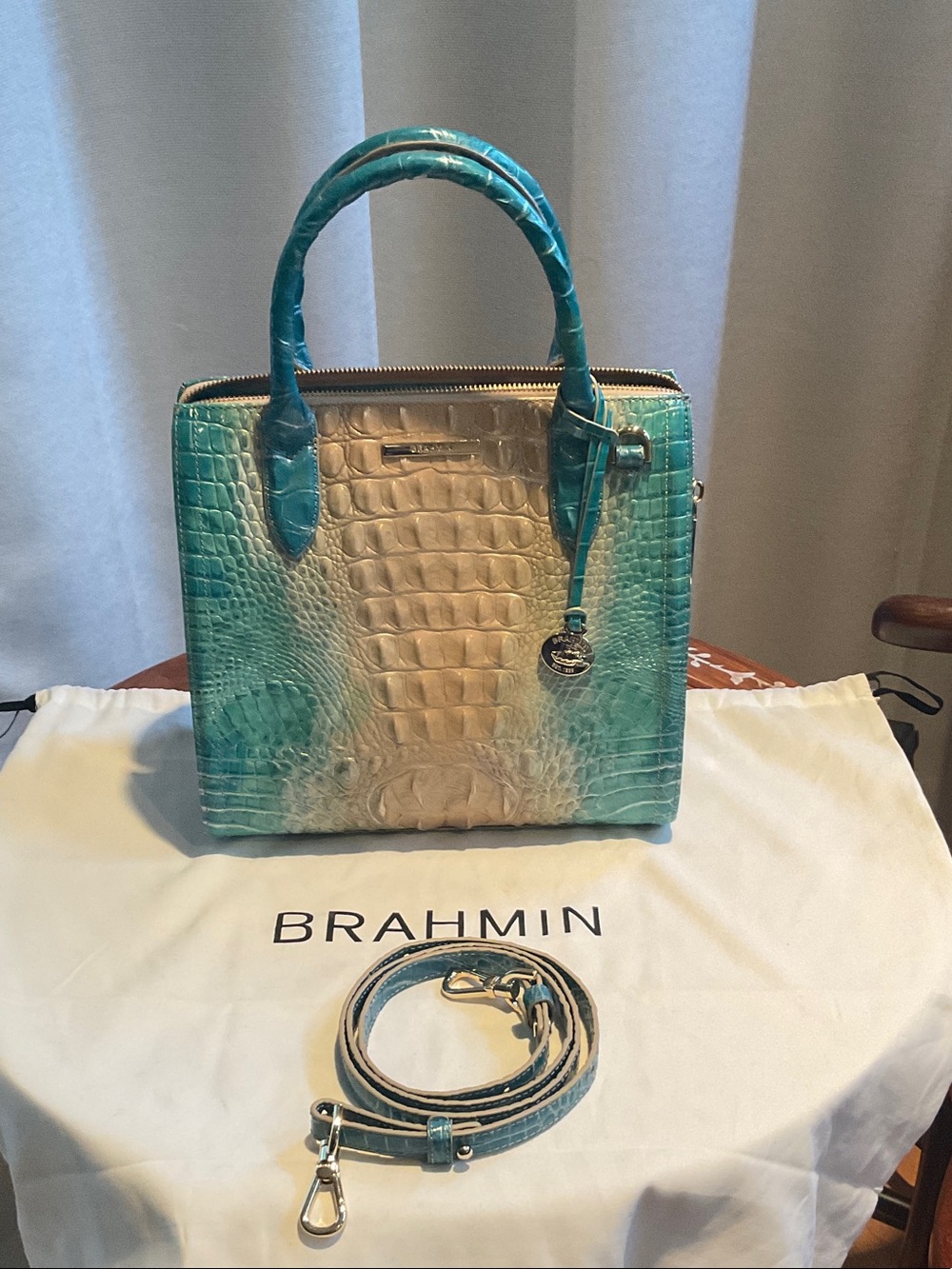 Brahmin Ocean Ombré Caroline Bag